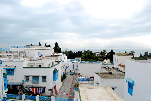 Real Estate Sidi Bou Said Tunisia