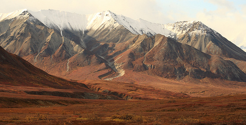 Denali National Park Denali National Park