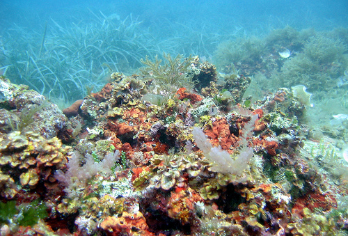 malta scuba