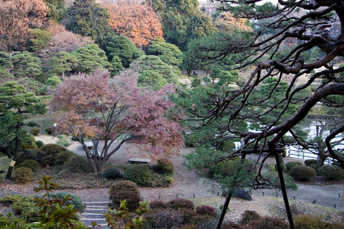 Rikugien Park Tokyo