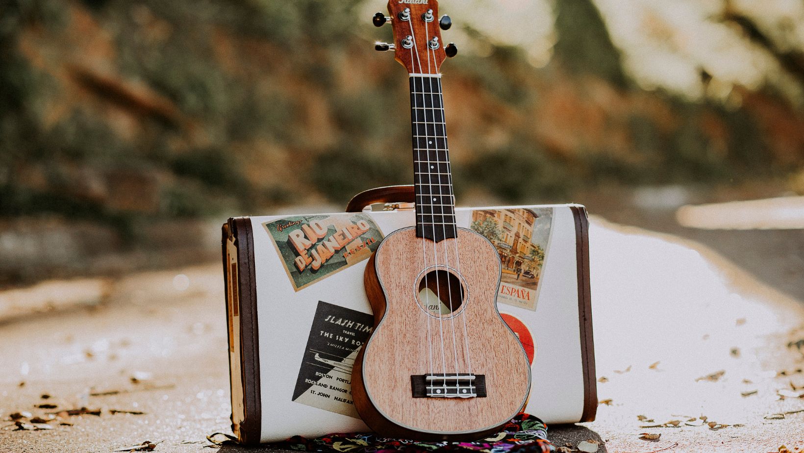 Ryanair sells seats to musical instruments Travel Tweaks