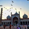 India new delhi travel advisories