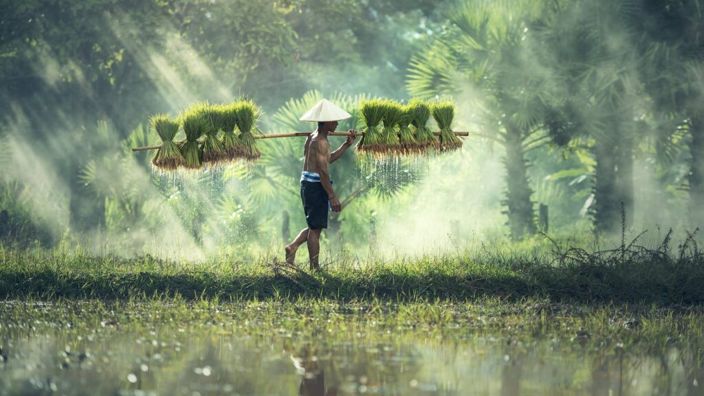 Increase in Asia Pacific Travel Traffic Powers Optimistic Forecasts for 2011