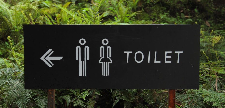 Lack of Toilets Causes India to Lose Tourists