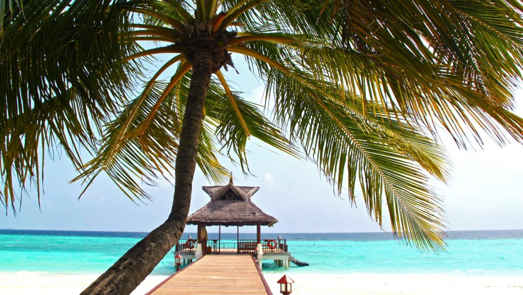 Travelers Use Loyalty Points as Cash Replacements