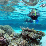 Four Great Places to go Snorkeling