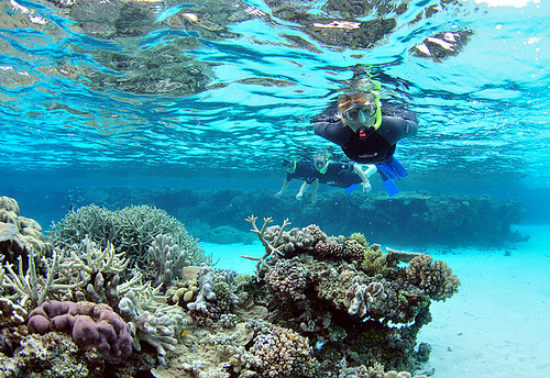 Four Great Places to go Snorkeling