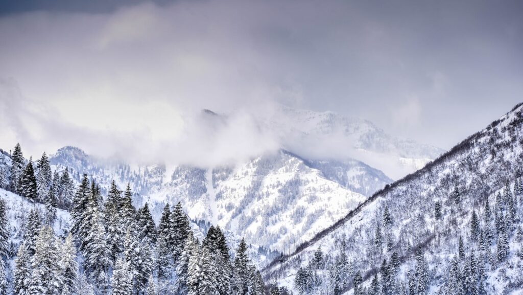 Top Things to do this Summer in the Alps