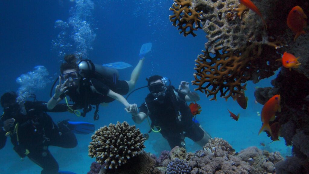 Night Time Scuba Diving