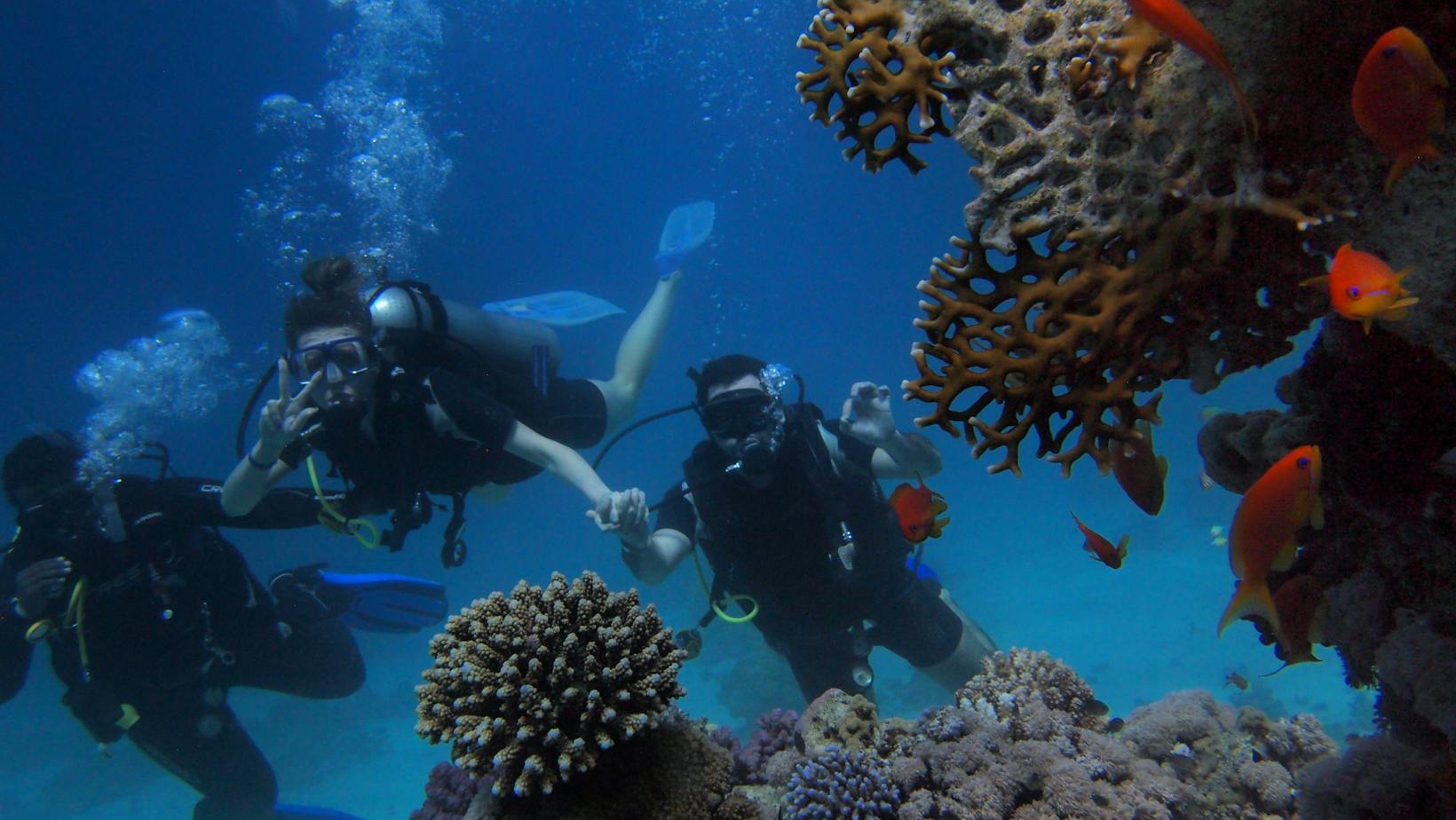 Best Diving Destinations for Families