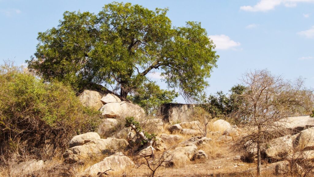 The Unmissable Highlights of Tanzania