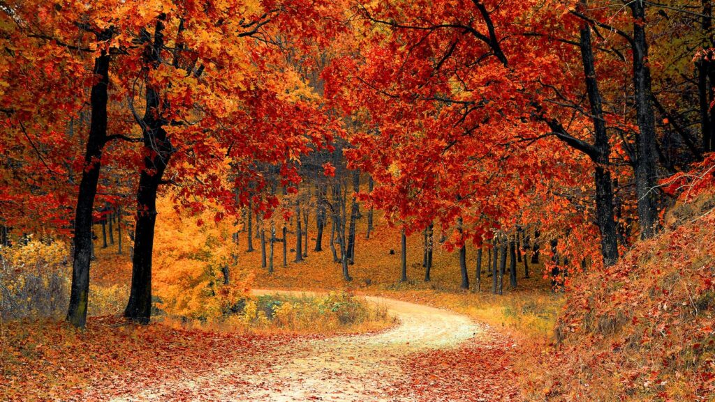 Five Budget-friendly Vacation Destinations for Fall