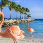 Top 3 things to do in Aruba (that aren't beaches)