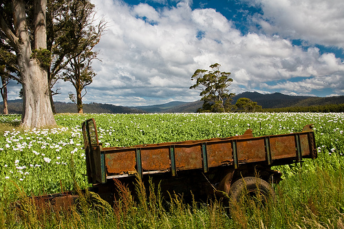 Places to Go in Australia to Try Something New 