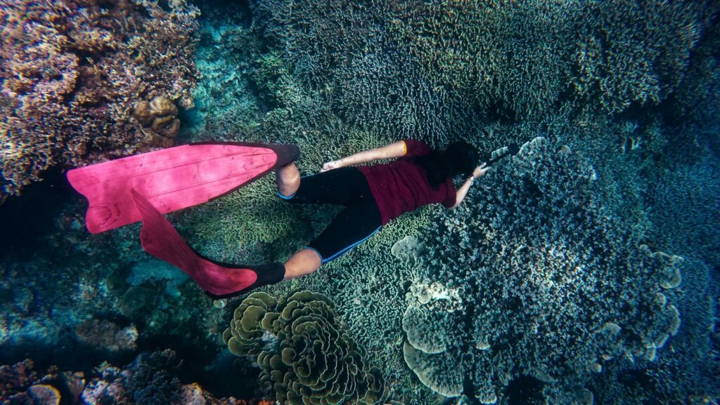 Top 10 Diving Sites In The World