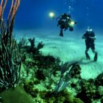 Top 10 Diving Sites In The World