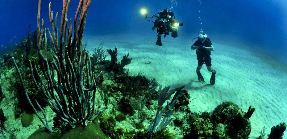 Top 10 Diving Sites In The World