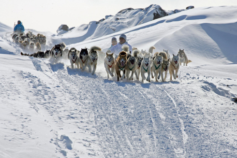 Iceland Travel Promotes Dog Sledding Adventure Holidays in Greenland