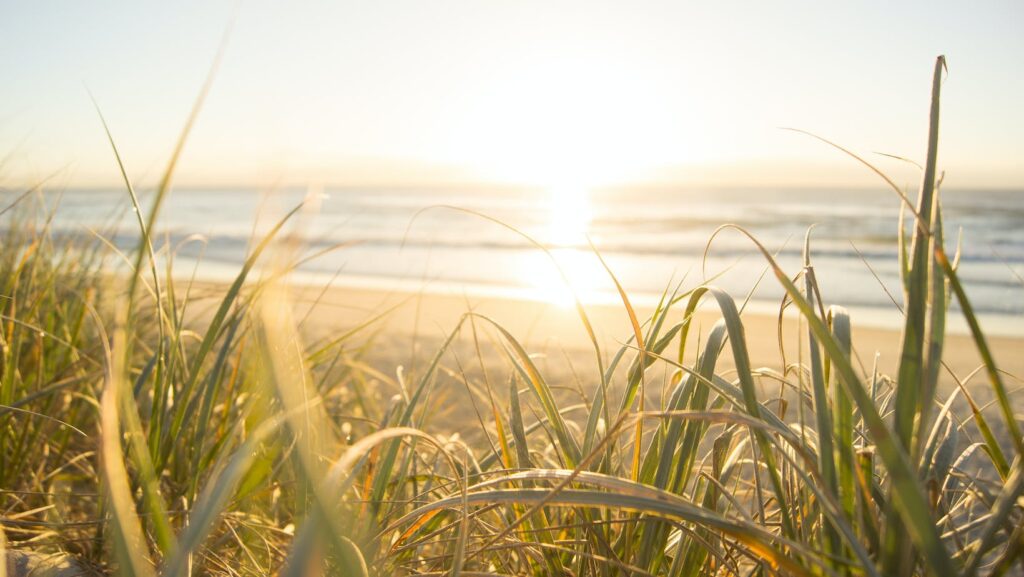 Top 5 Ultimate Australian Holiday Experiences