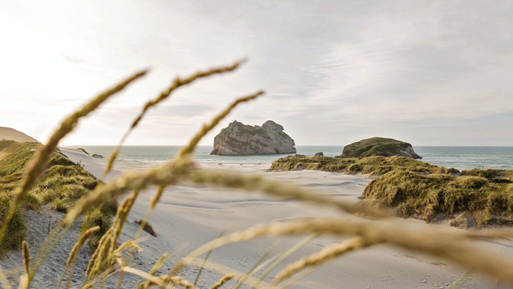 Search for Middle-earth Drives New Zealand Tourism Growth