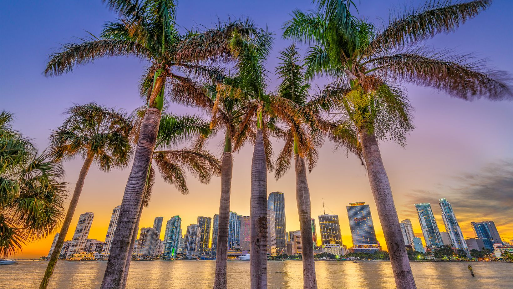5 reasons to visit florida