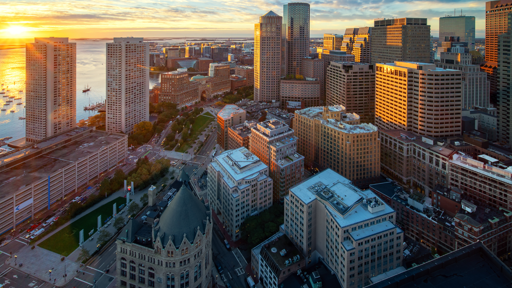 Top toronto hotels for pet lovers traveling on business hipmunk city love