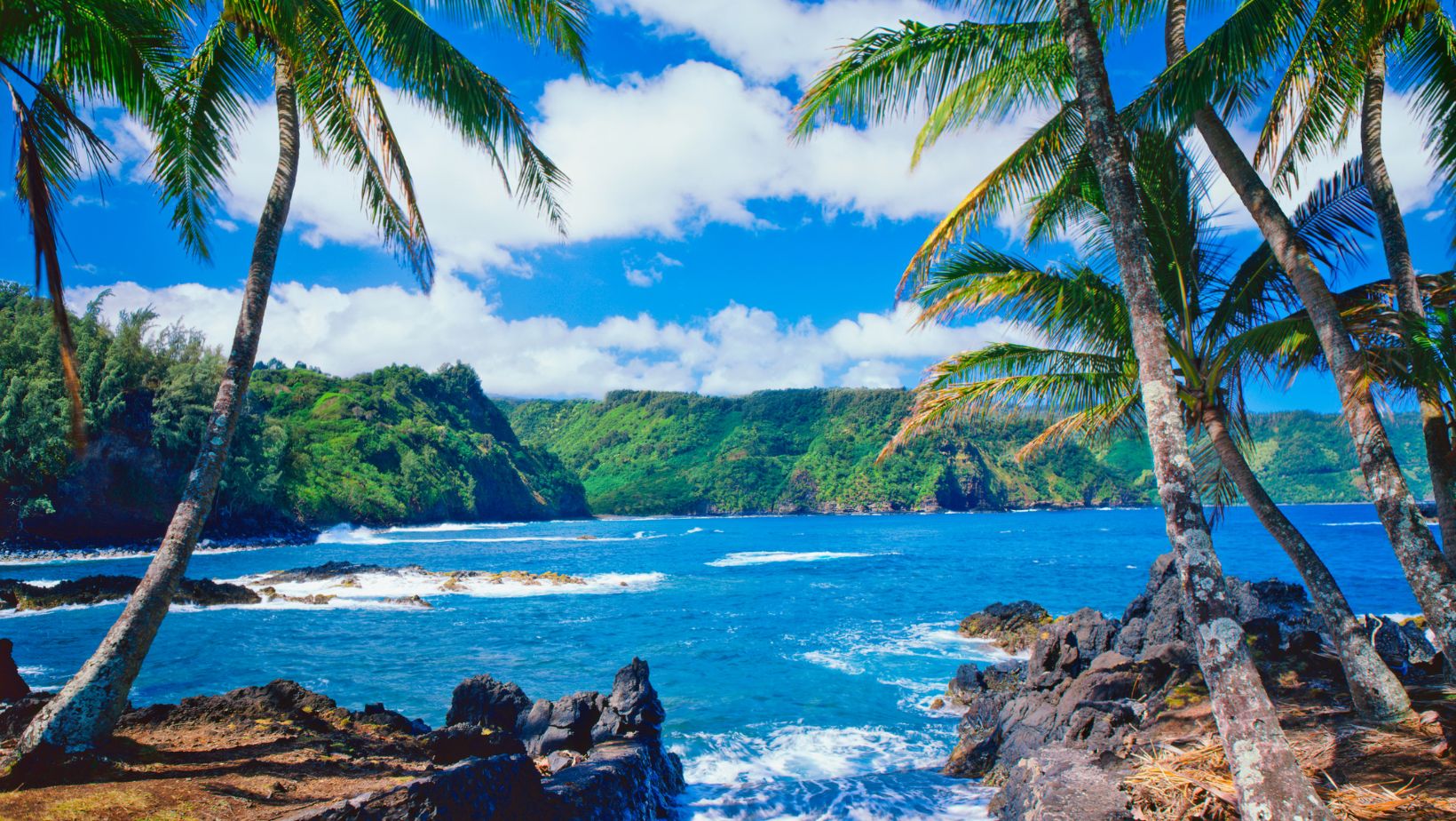 Top Hotel Picks for A Hawaiian Taste of Paradise