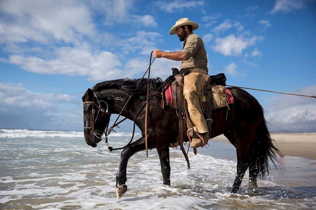 How to Use Horses to Entertain Your Guests