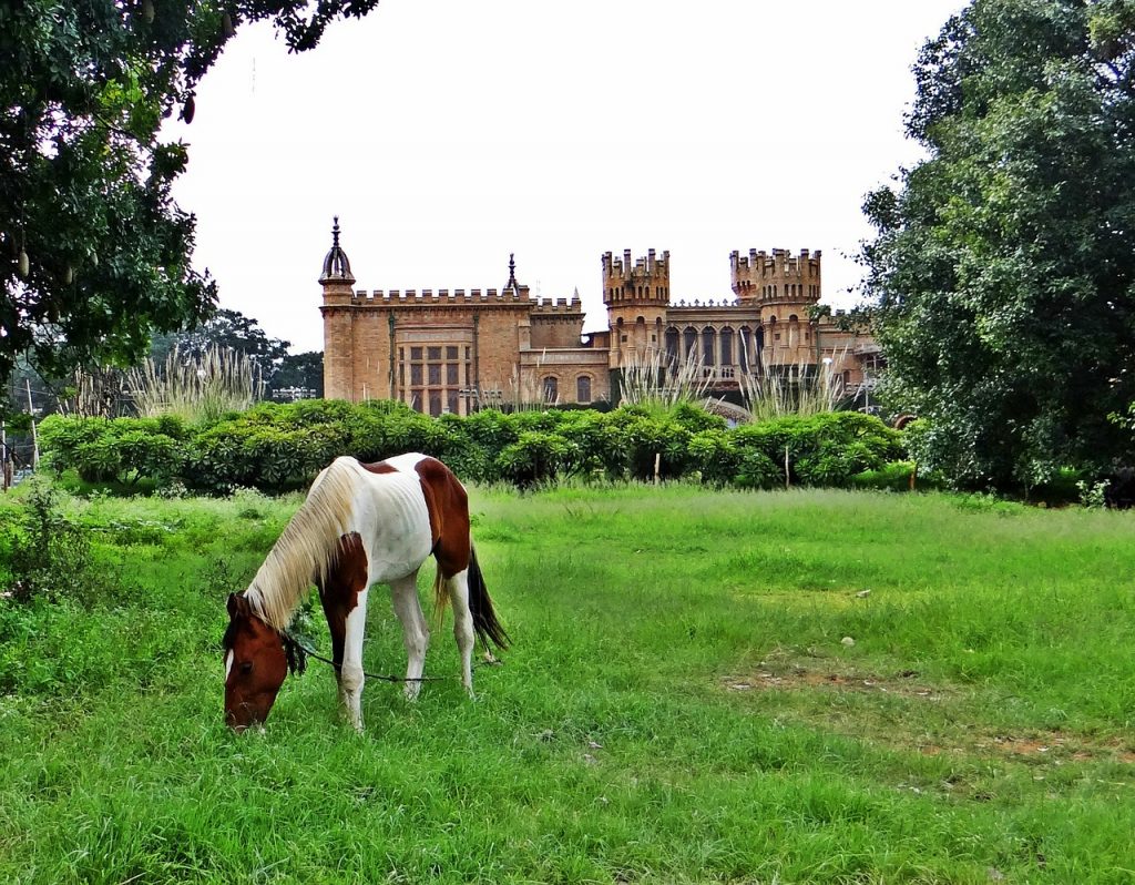 Bangalore Palace