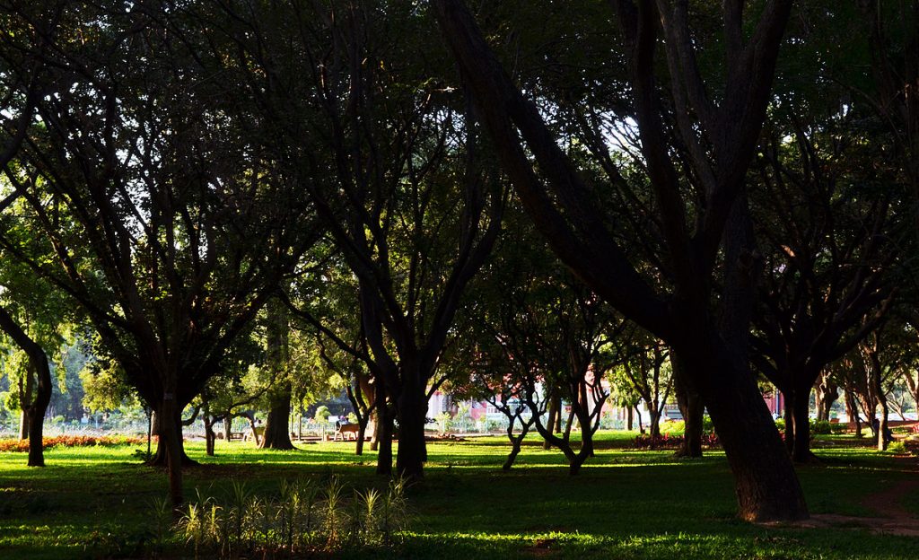 Cubbon Park, Bangalore, India