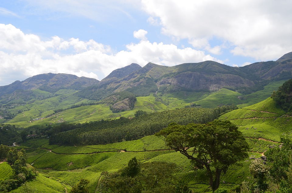 Munar, Kerala