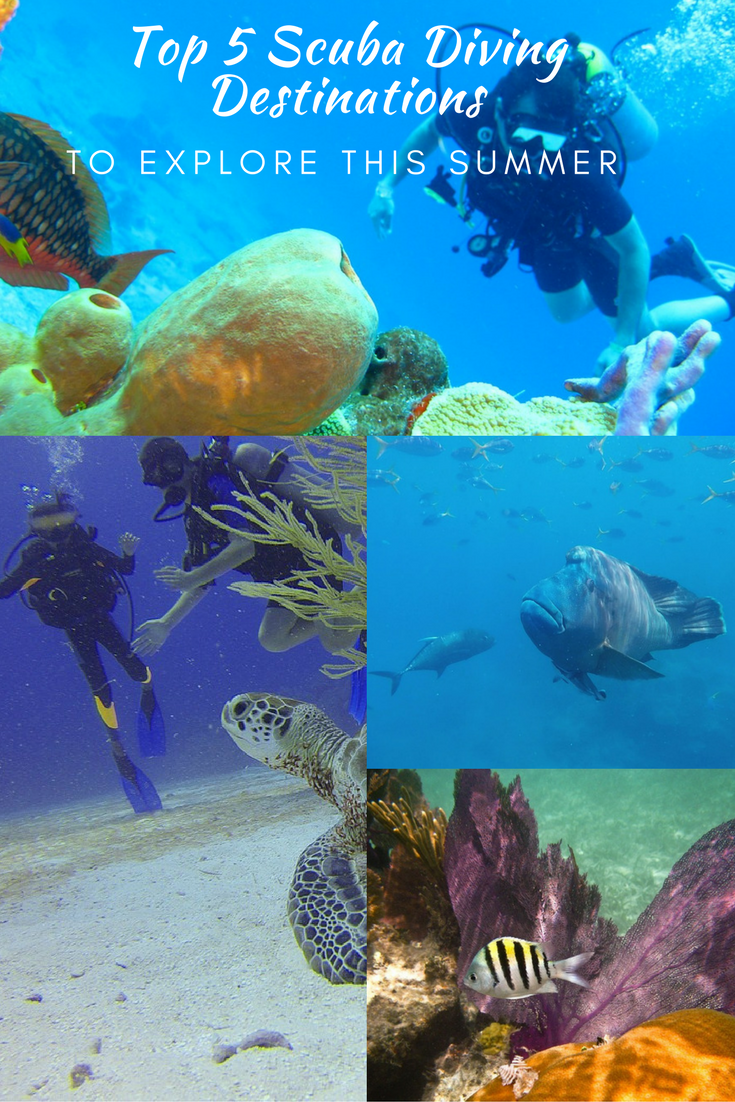 Top 5 Scuba Diving Destinations to Explore This Summer - Travel Tweaks ...