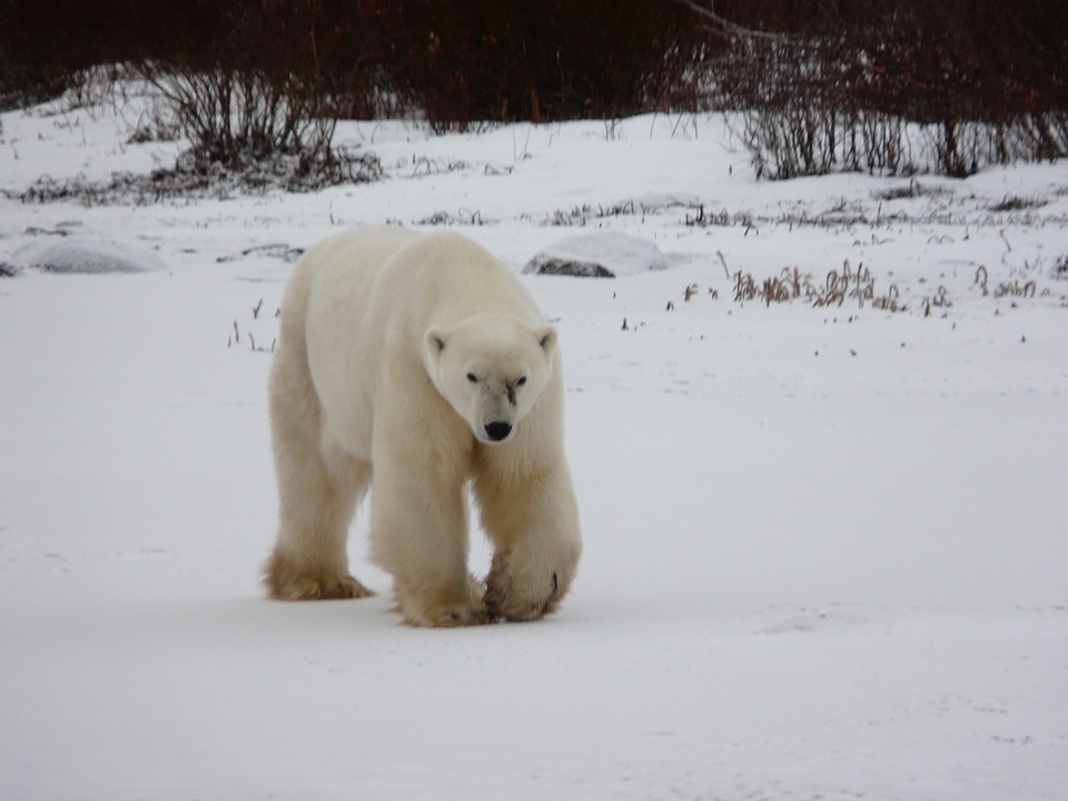 Canada Bucket List