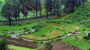 Want to Visit a Hill Station? Here’s Why Your Next Stop Should Be Ooty