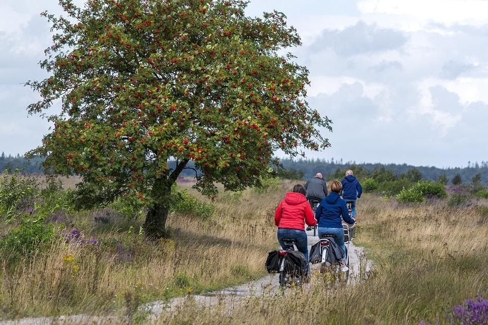 10 Surprising Reasons why you should Travel with Children - Travel Tweaks