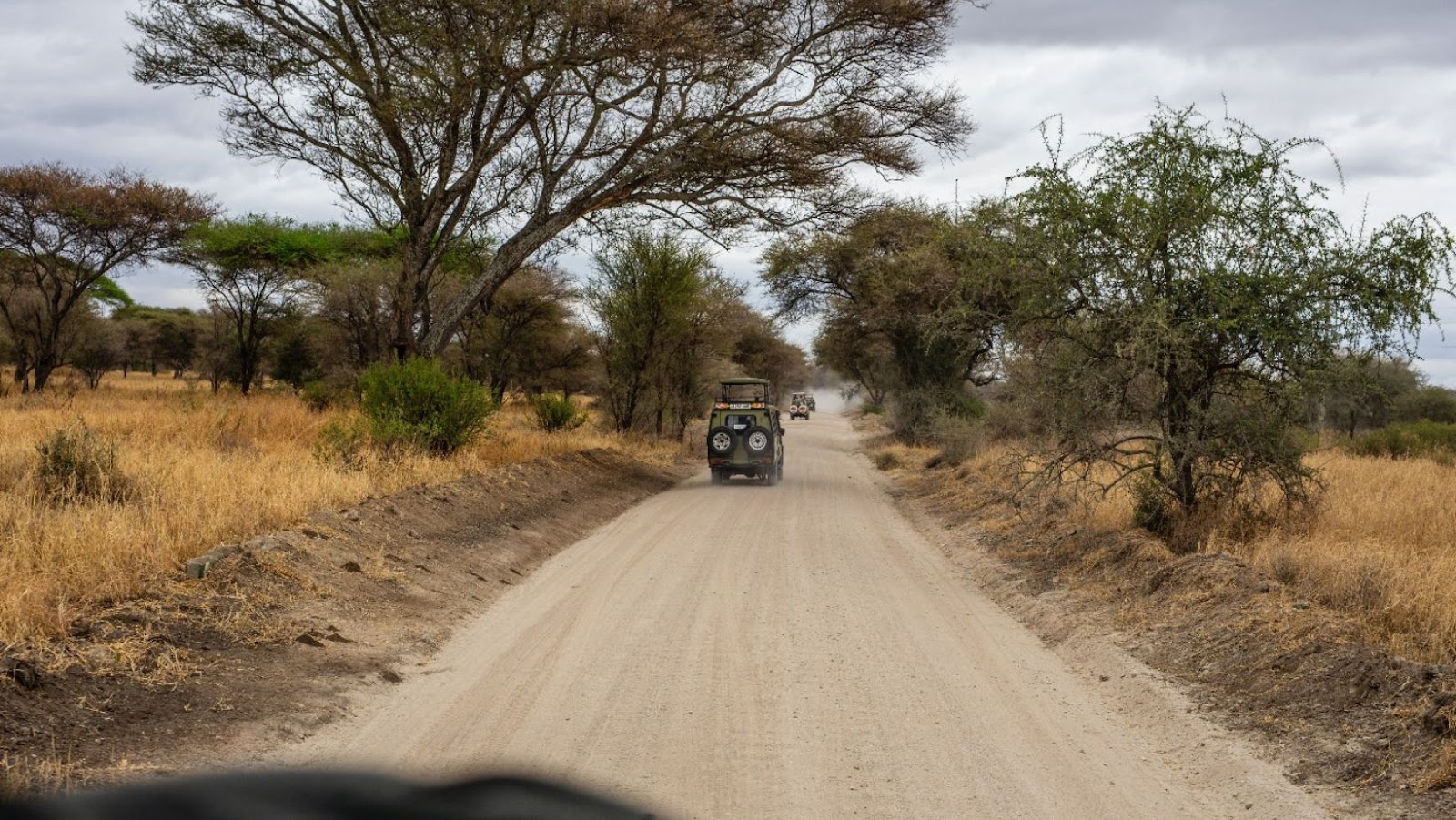 What You Need To Do Before Traveling to Kenya