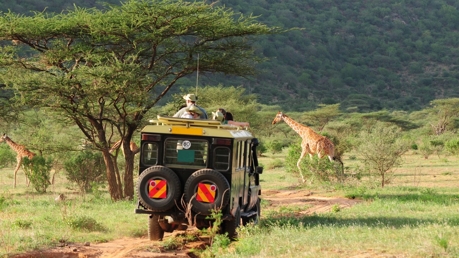 What You Need To Do Before Traveling to Kenya