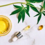 Why Bring CBD Oil On Holiday