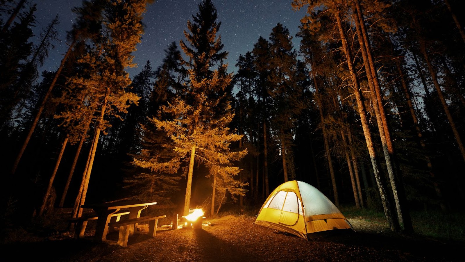 What To Consider When You Are Going Camping