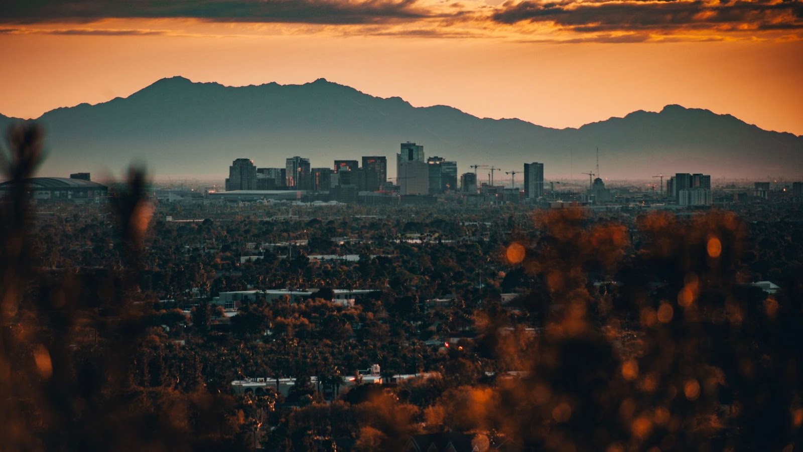 What to Do in Phoenix if Visiting Just for a Day—4 Tips to Make Most Use of Your Time