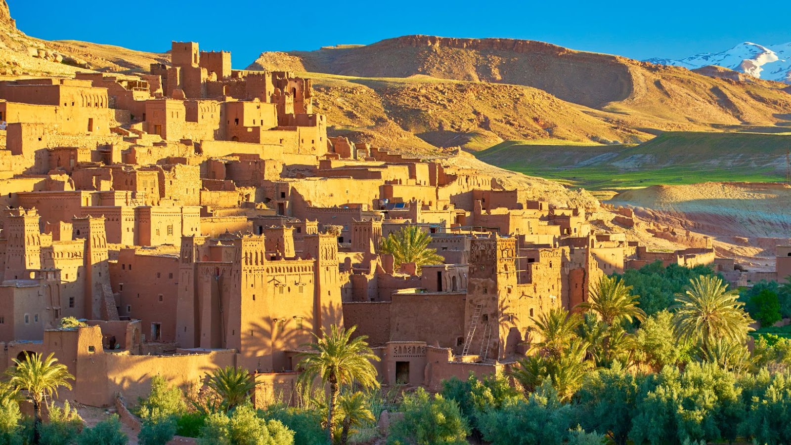 Why You Should Choose First-Class Tour Companies for You Trip to Morocco