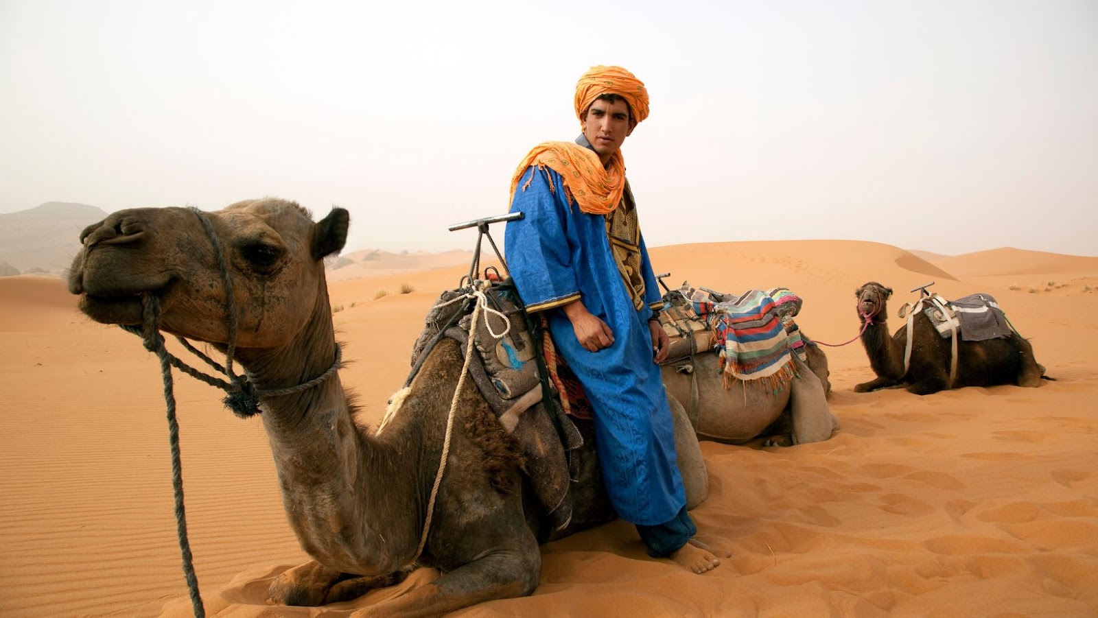 Why You Should Choose First-Class Tour Companies for You Trip to Morocco