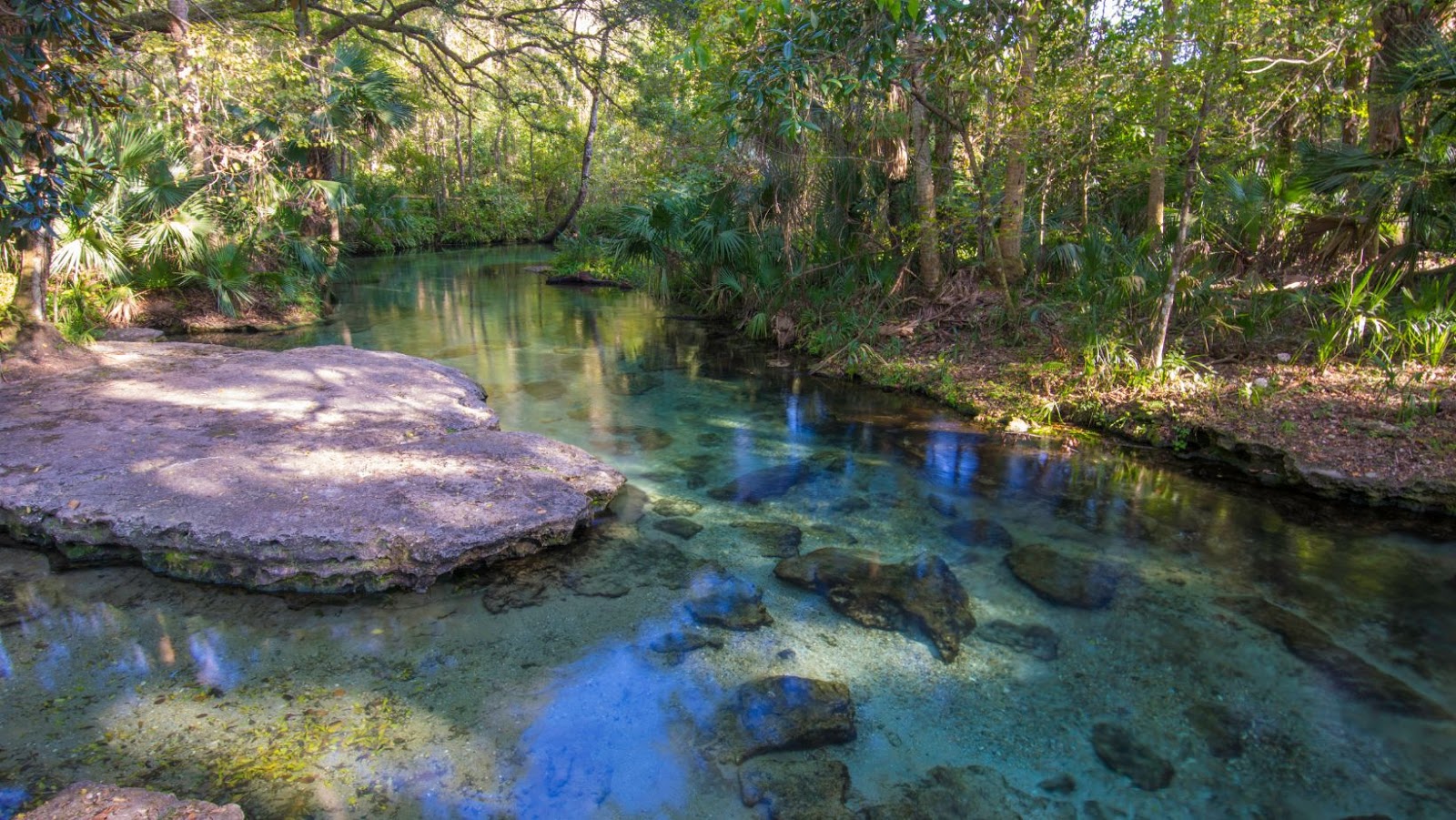 rick on the rocks florida dad blogger lifestyle travel