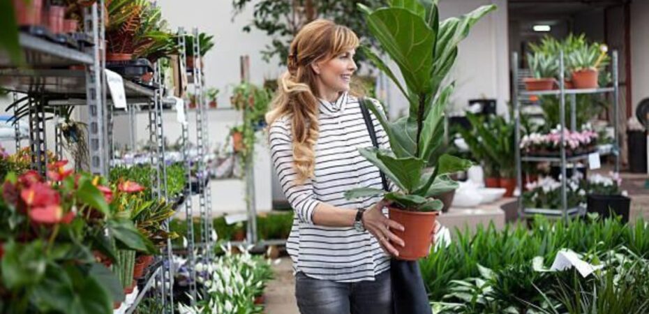 Online Plant Shopping in 2023: 6 Leading Sites
