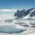 What to Expect From A Trip to Antarctica