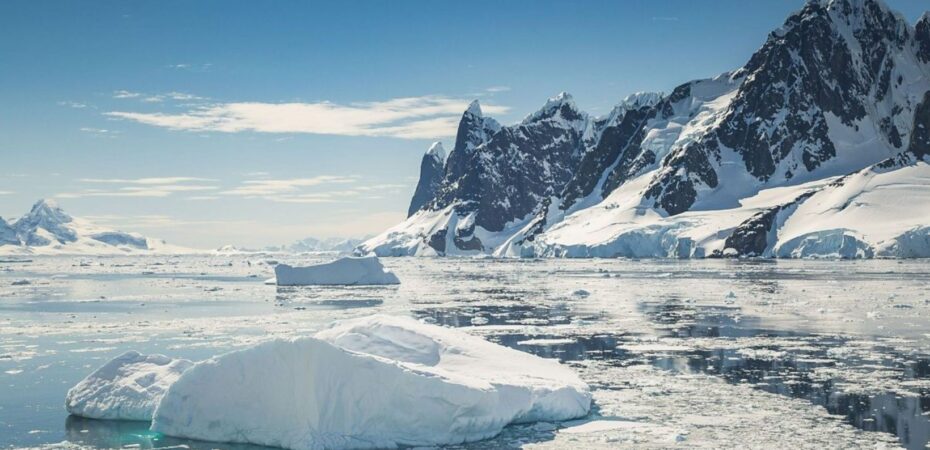 What to Expect From A Trip to Antarctica
