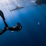 Ultimate Thrill Seeker's Guide: Epic Multisport Expeditions Around the Globe