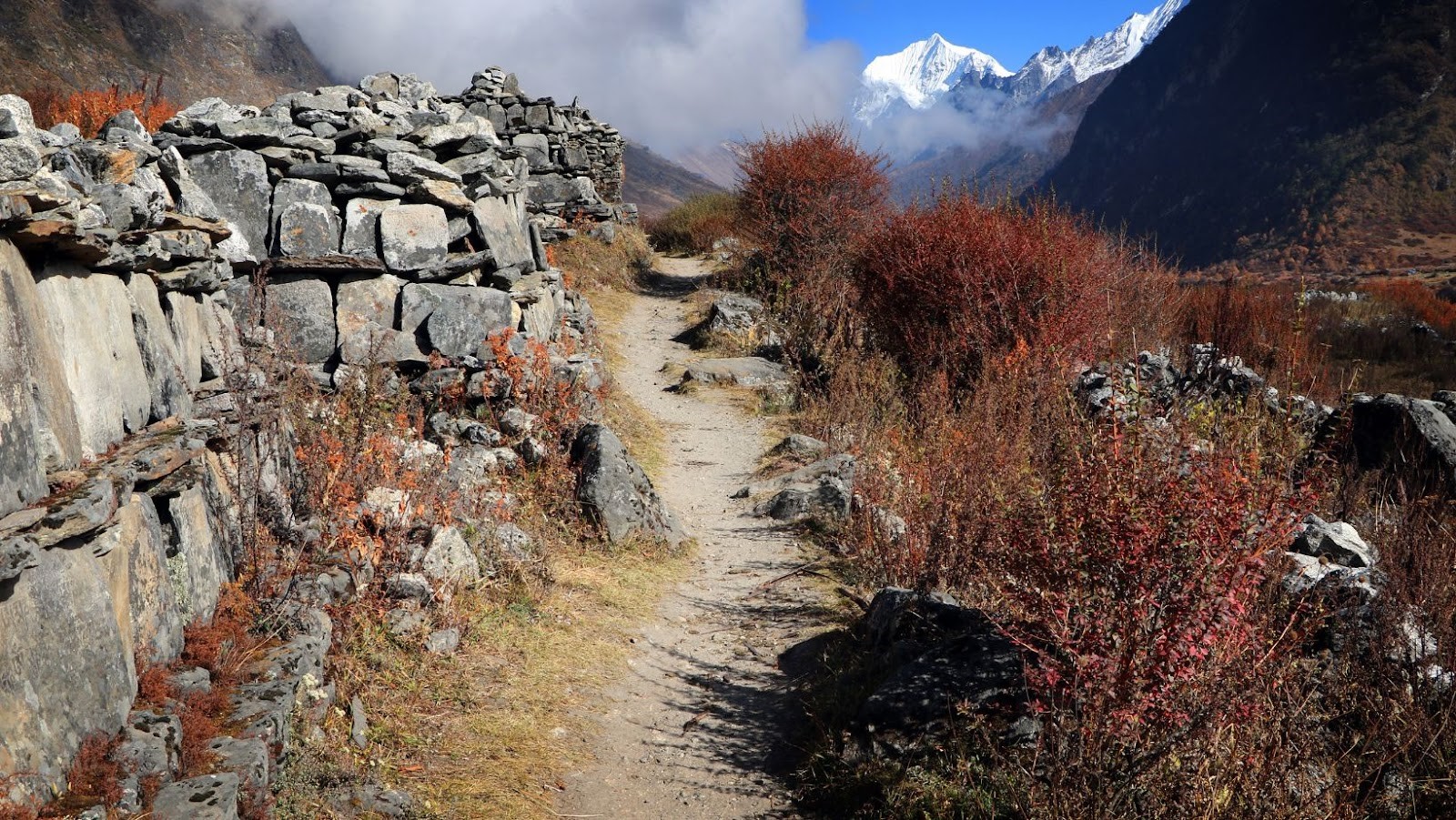 Langtang Valley Trek in Nepal – How Much Does it Cost?