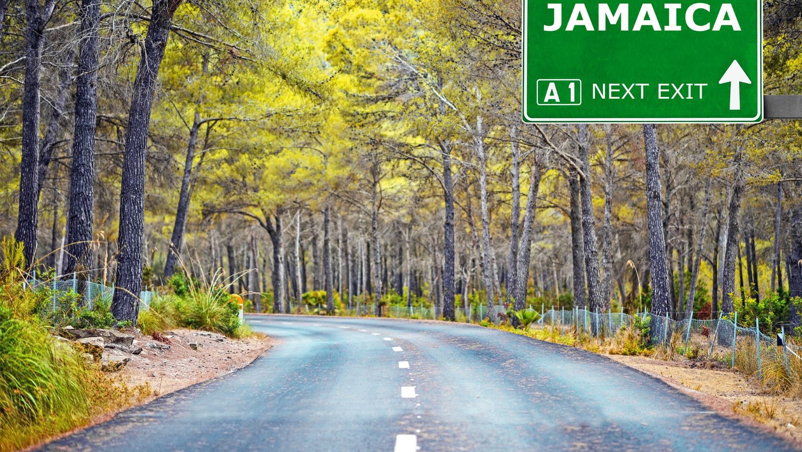 Crossing Borders How Far Is Jamaica From Florida Travel Tweaks