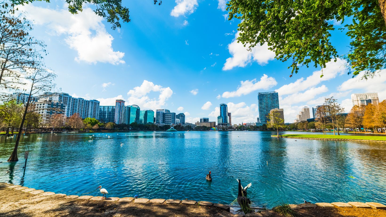 Florida’s Crossroads: Distance Between Orlando And Tampa - Traveltweaks